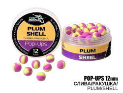 Бойлы POP UPS - Слива/Ракушка (Plum/Shell) 12мм