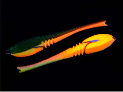 Поролоновая рыбка Dancing Fish 4.5" (Reverse Tail) #603 (5шт)-foto2