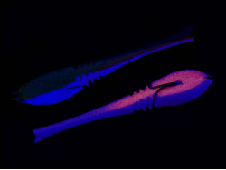 Поролоновая рыбка Dancing Fish 4.5" (Reverse Tail) #608 (5шт)-foto2