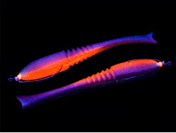 Поролоновая рыбка Dancing Fish 5,5" (Reverse Tail) Офсет #101 (5шт)-foto2