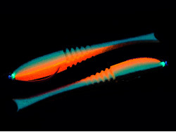 Поролоновая рыбка Dancing Fish 5" (Reverse Tail) Офсет #203 (5шт)-foto2