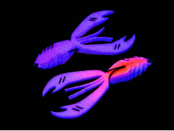 Поролоновый рак CrayFish 4" #213 (2шт)-foto2