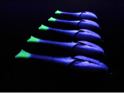 Поролоновая рыбка Dancing Fish 3,5" #308 (5шт)-foto4