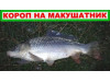 Макуха Секрет Улова (Горох) Макуха Секрет Улова (Горох)
