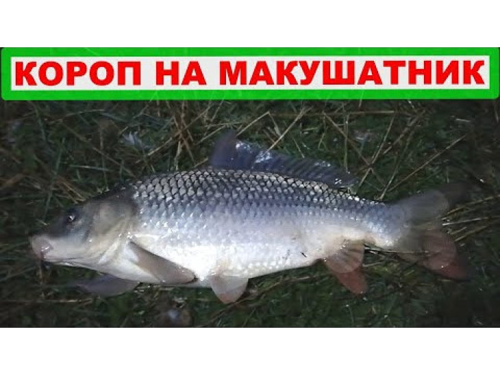 Макуха Секрет Улова (Горох) Макуха Секрет Улова (Горох)
