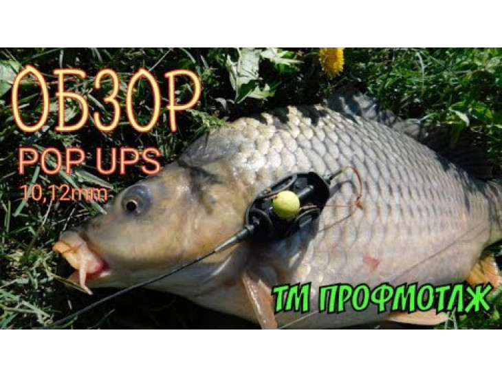 Бойлы POP UPS - Чеснок (Garlic) 12мм Бойлы POP UPS - Чеснок (Garlic) 12мм